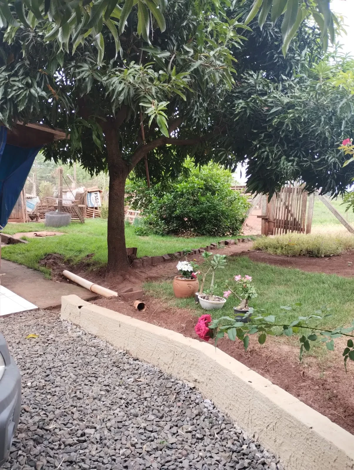 Imagem Chácara com 2 Quartos à Venda, 90 metros em Pitangueiras - Pitangueiras
