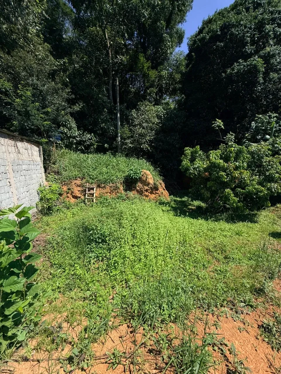 Imagem Casa com 2 Quartos à Venda, 150 m² em Chácaras Bartira - Embu das Artes