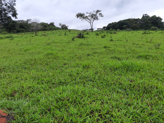 Imagem Fazenda à Venda, 48 m² em Área Rural de Luziânia - Luziânia