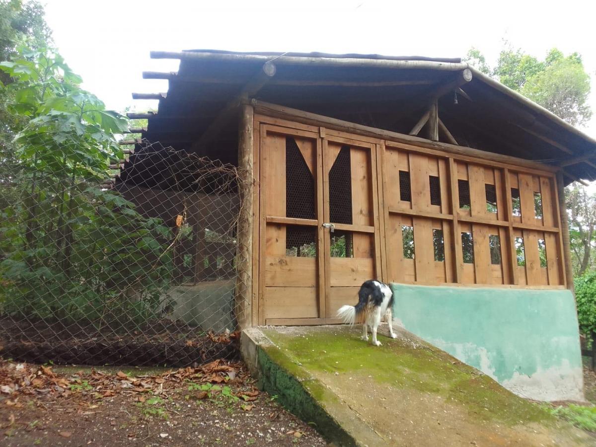 Foto do imóvel: Terreno à Venda, 2.000 m² em Recanto da Aldeia - Brumadinho