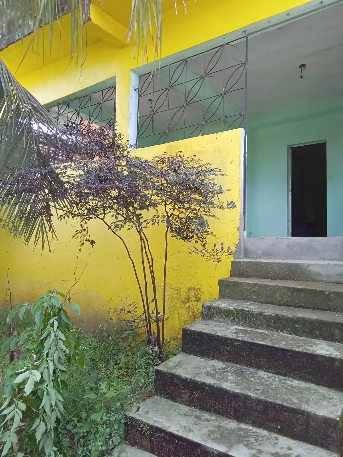 Imagem Casa com 3 Quartos à Venda, 250 m² em São Tomé - Salvador