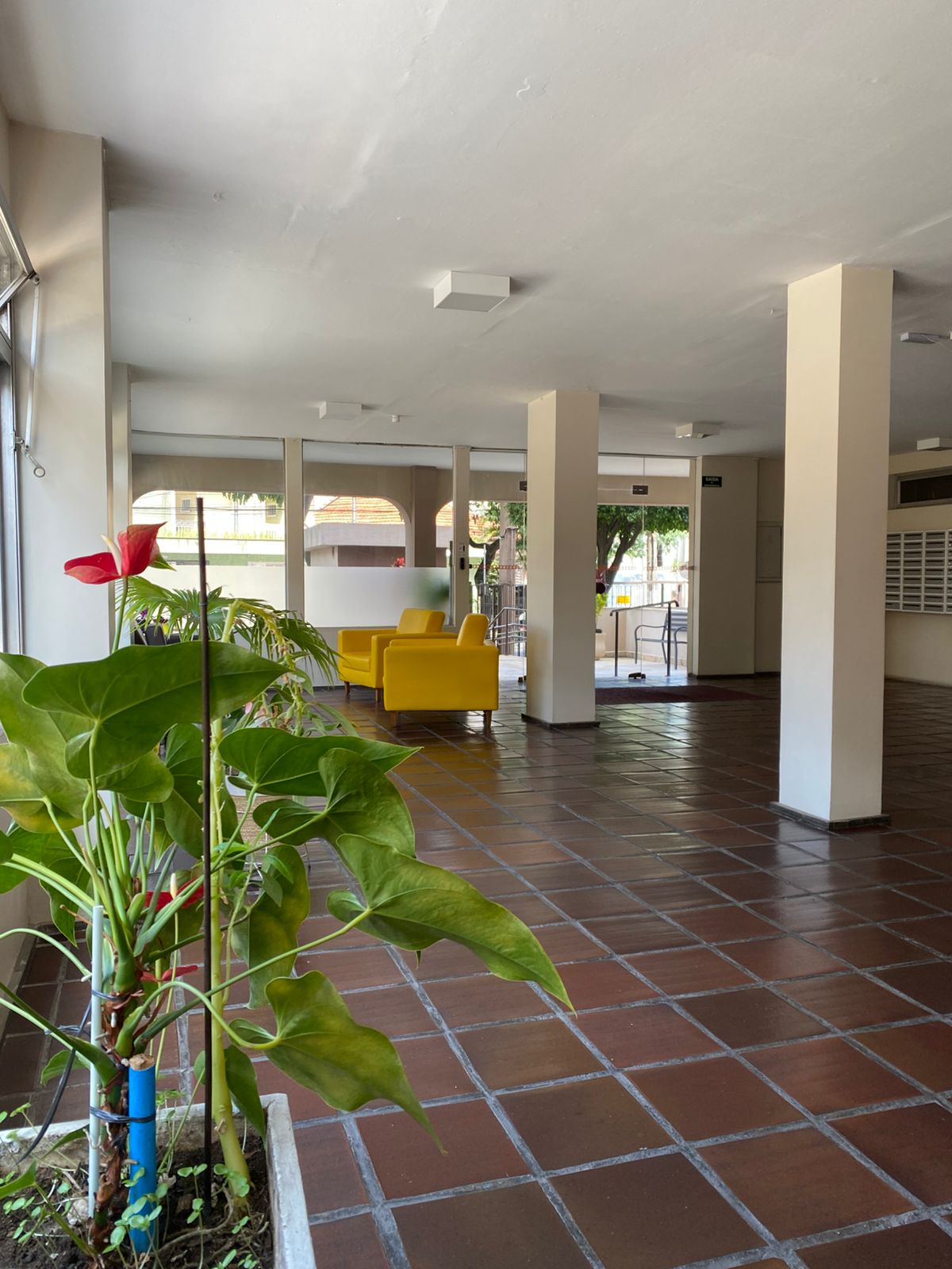 Imagem Apartamento com 2 Quartos à Venda, 72 metros em Vila Moinho Velho - São Paulo