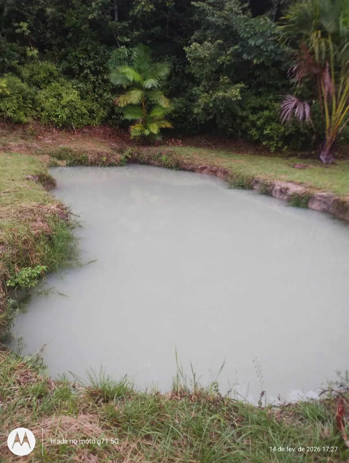 Imagem Fazenda à Venda, 46 HA em Acará - Acará