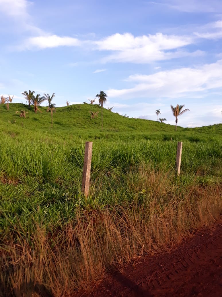 Foto do imóvel: Fazenda à Venda, 9.399 m² em Centro  - São Félix do Xingu