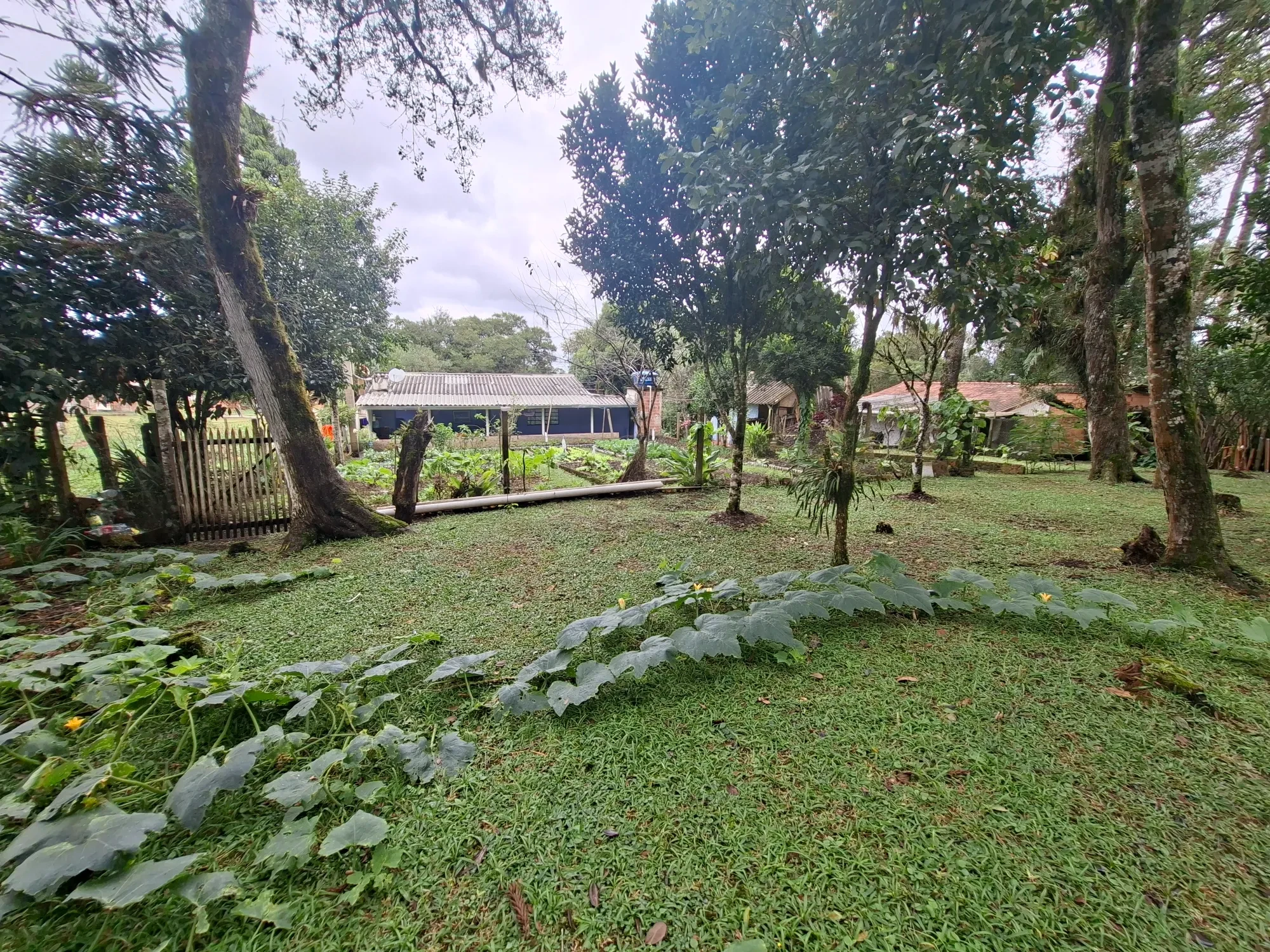 Imagem Chácara com 2 Quartos à Venda, 80 m² em Campo Alto - Tijucas do Sul