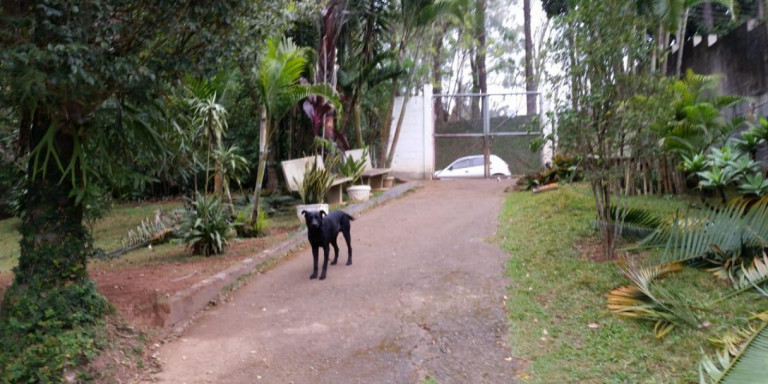 Imagem Chácara com 3 Quartos à Venda, 2.920 m² em Centro - Santa Isabel
