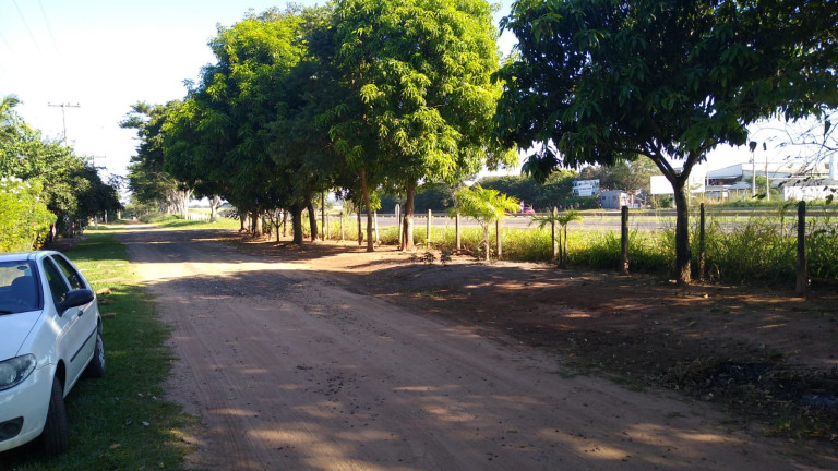 Imagem Chácara com 4 Quartos à Venda, 300 m² em Jardim do Trevo - Araçatuba