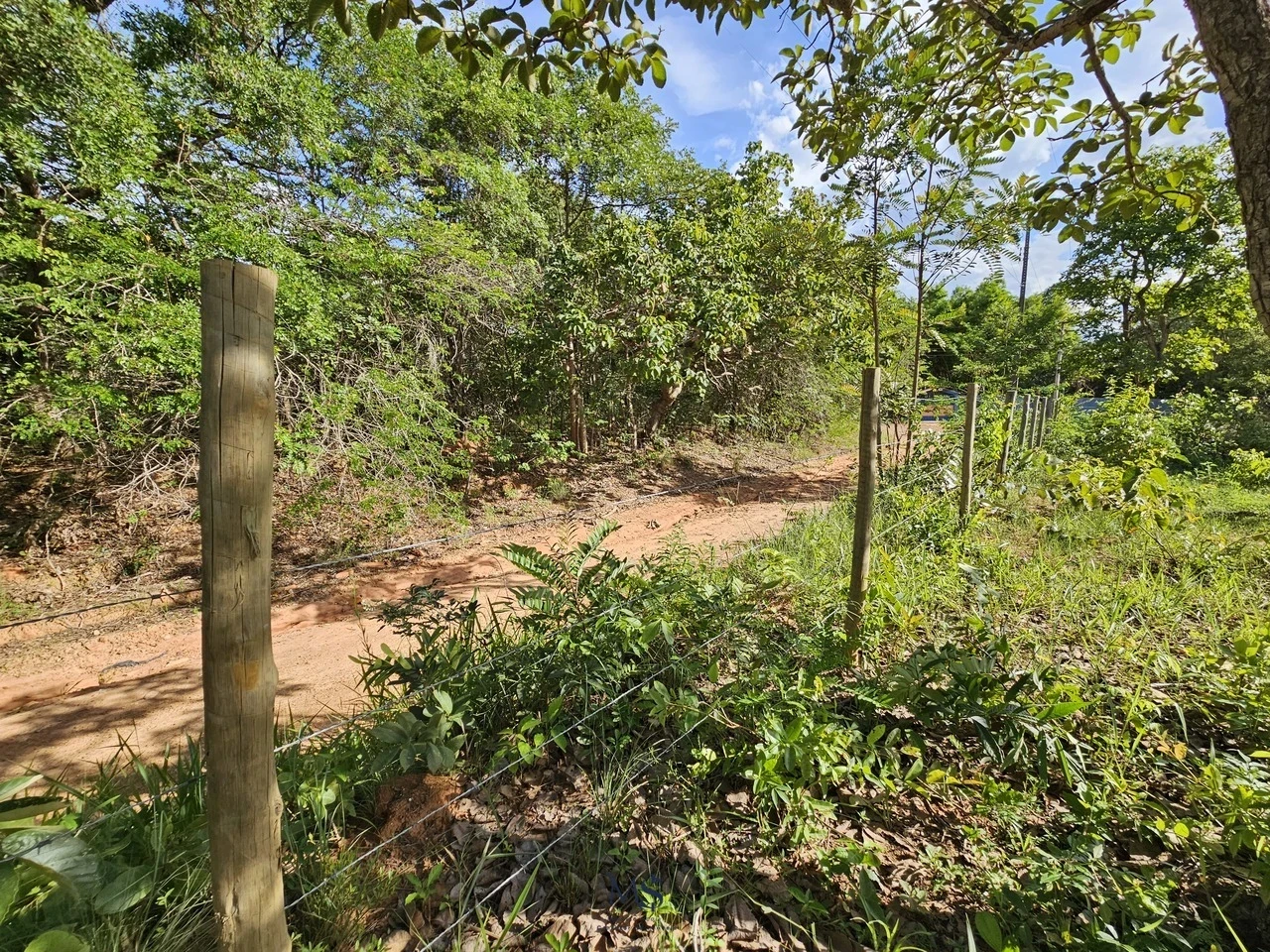 Imagem Fazenda à Venda, 18580 m² em Chácaras Ipanema - Valparaíso de Goiás