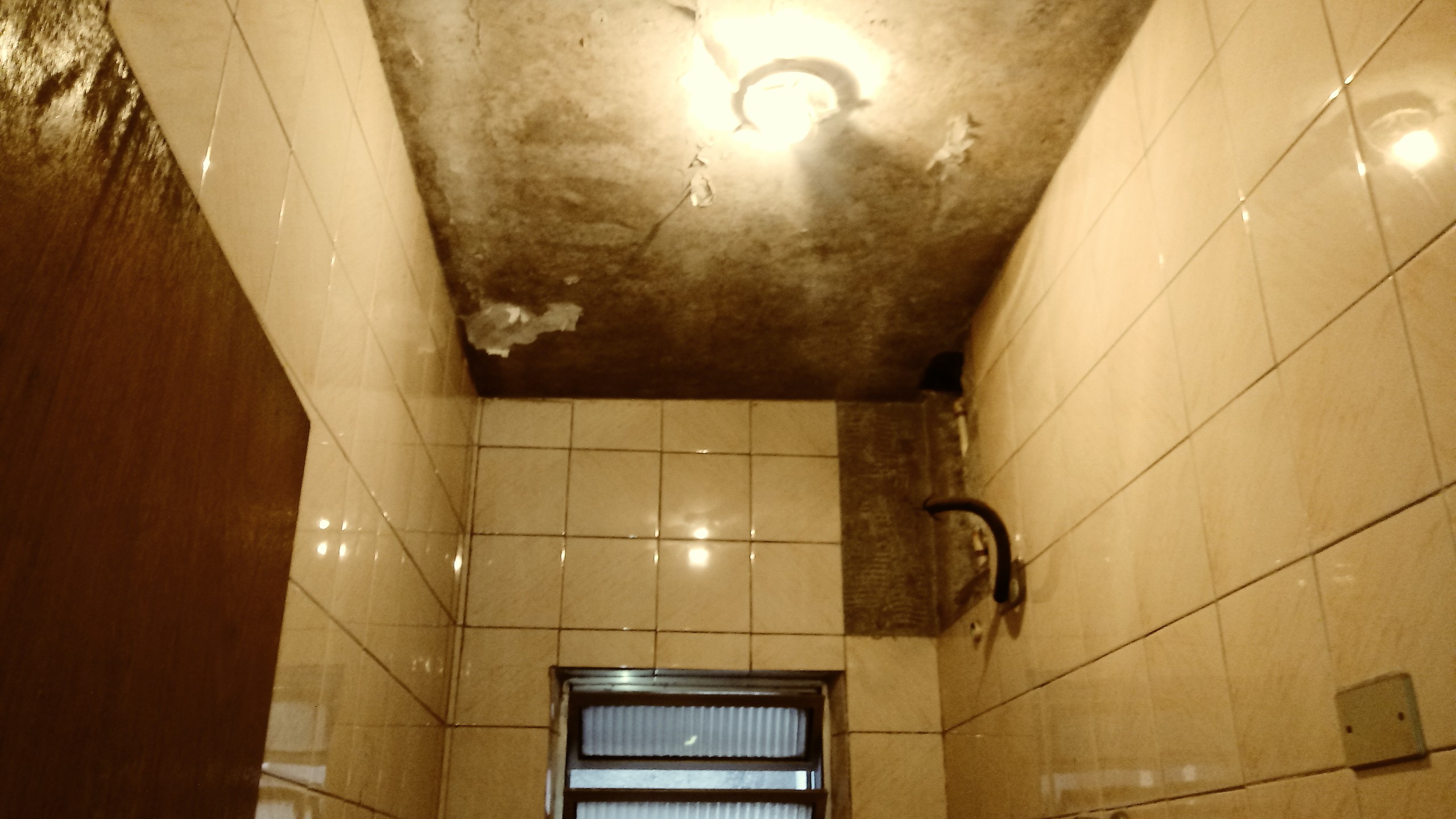 Imagem Imóvel Comercial à Venda, 340 m² em Vila Sofia - São Paulo