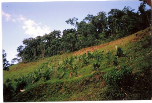 Terreno à Venda, 726.000 m² em Jardim Mirna - Taboão da Serra