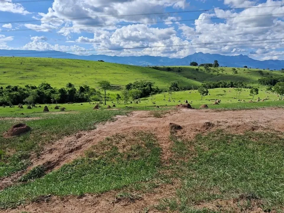 Imagem Terreno à Venda, 2000 metros em Área Rural de Guaratinguetá - Guaratinguetá