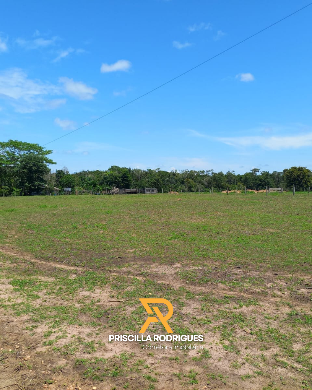 Imagem Fazenda à Venda, 10 HA em  - 