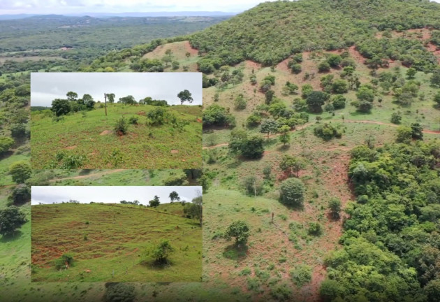 Imagem Fazenda à Venda, 54 Alq GOem Setor Central - Faina