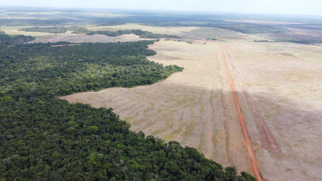 Imagem Fazenda à Venda, 400 Alq. GO em ZONA RURAL - Confresa