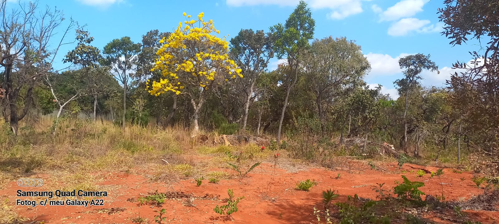 Imagem Terreno em Condomínio à Venda, 2500 m² em Setor Habitacional Tororó (Jardim Botânico) - Brasília