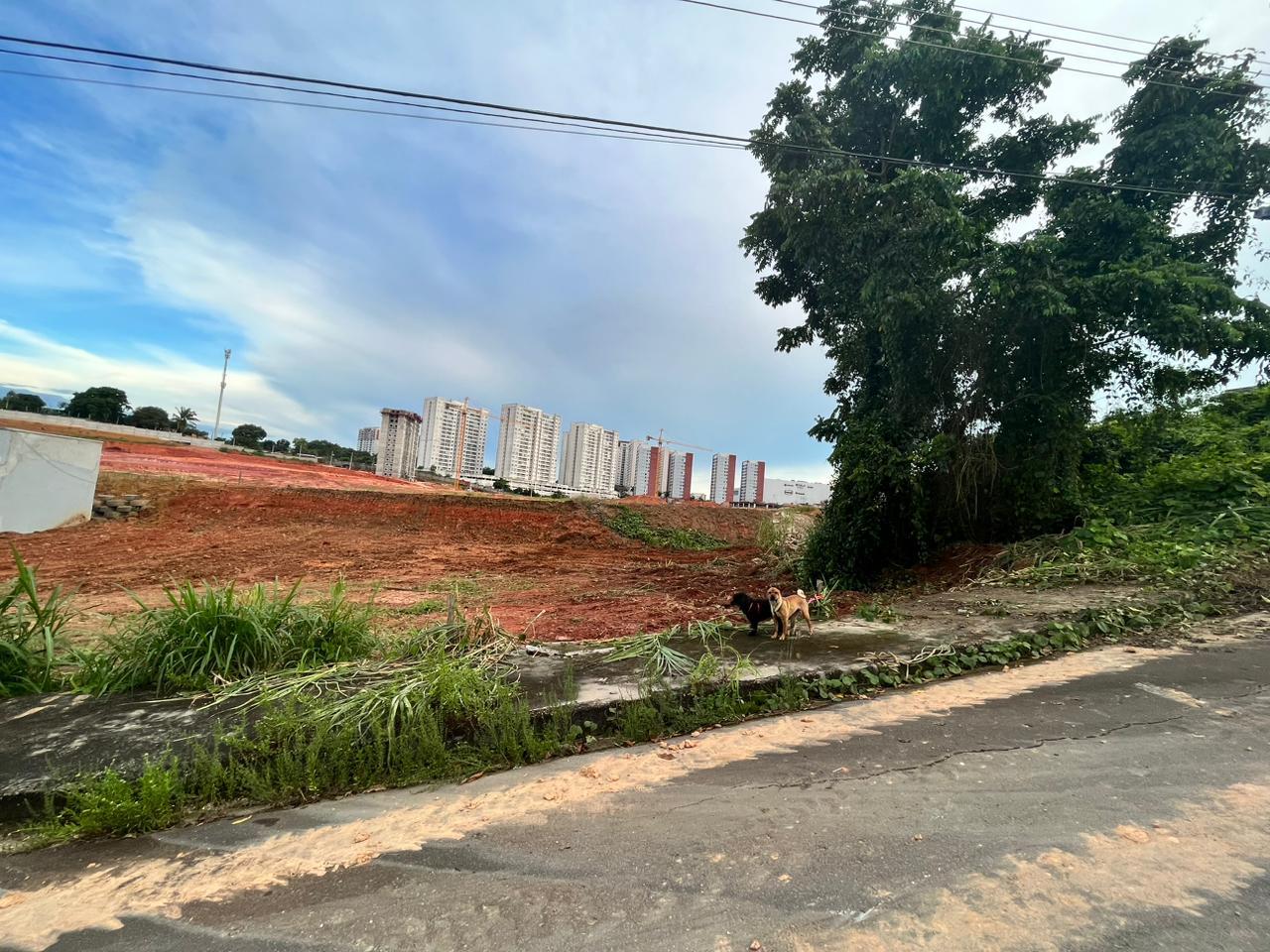 Terreno à Venda, 312 m²em Ponta Negra - Manaus