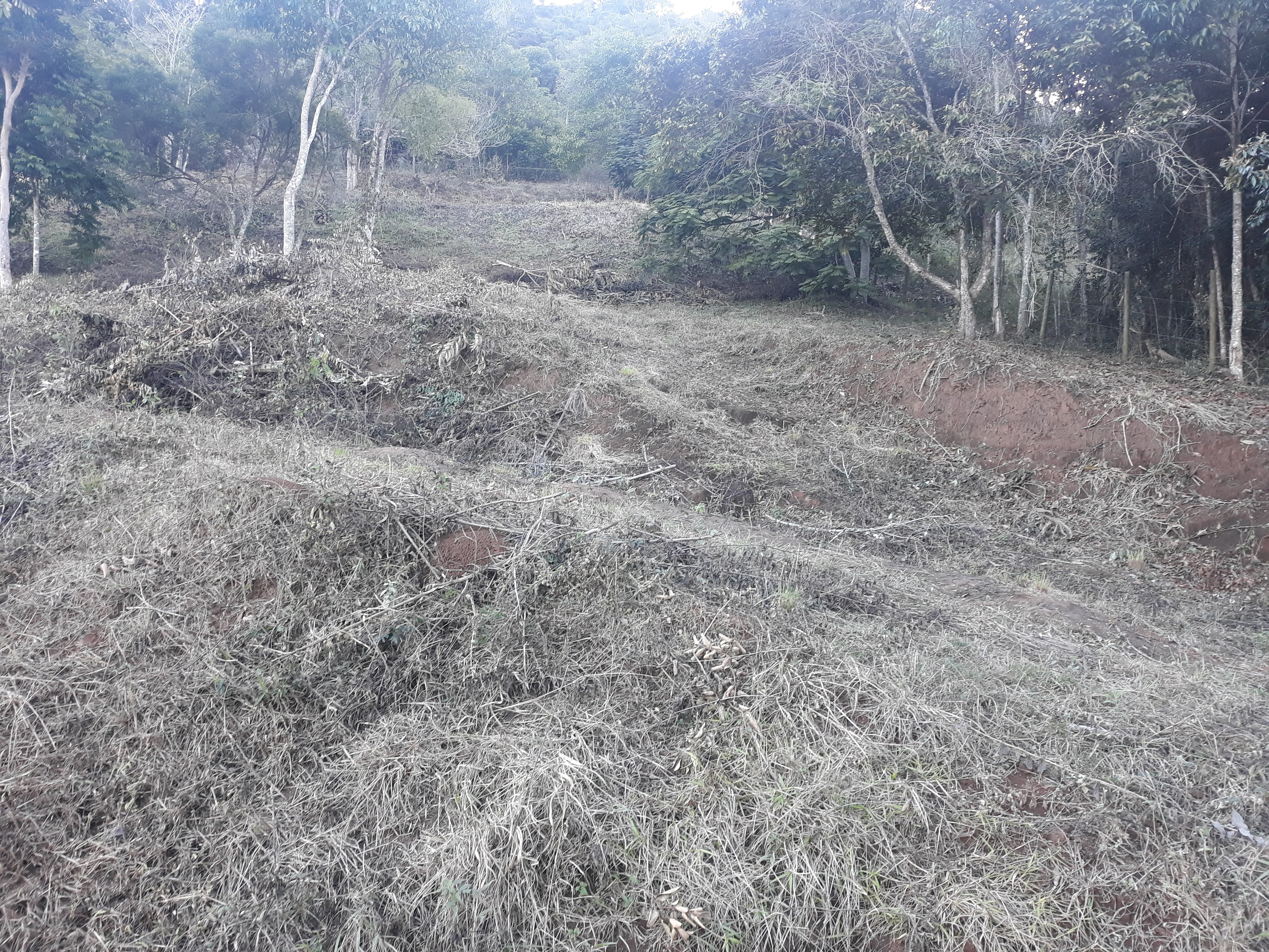 Imagem Terreno à Venda, em Torreões - Juiz de Fora