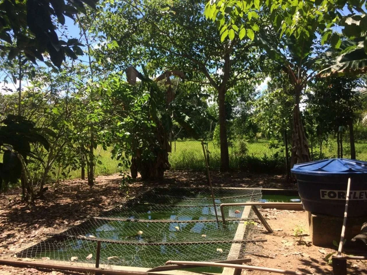 Imagem Chácara à Venda, 227 m² em Santarém Novo - Santarém Novo
