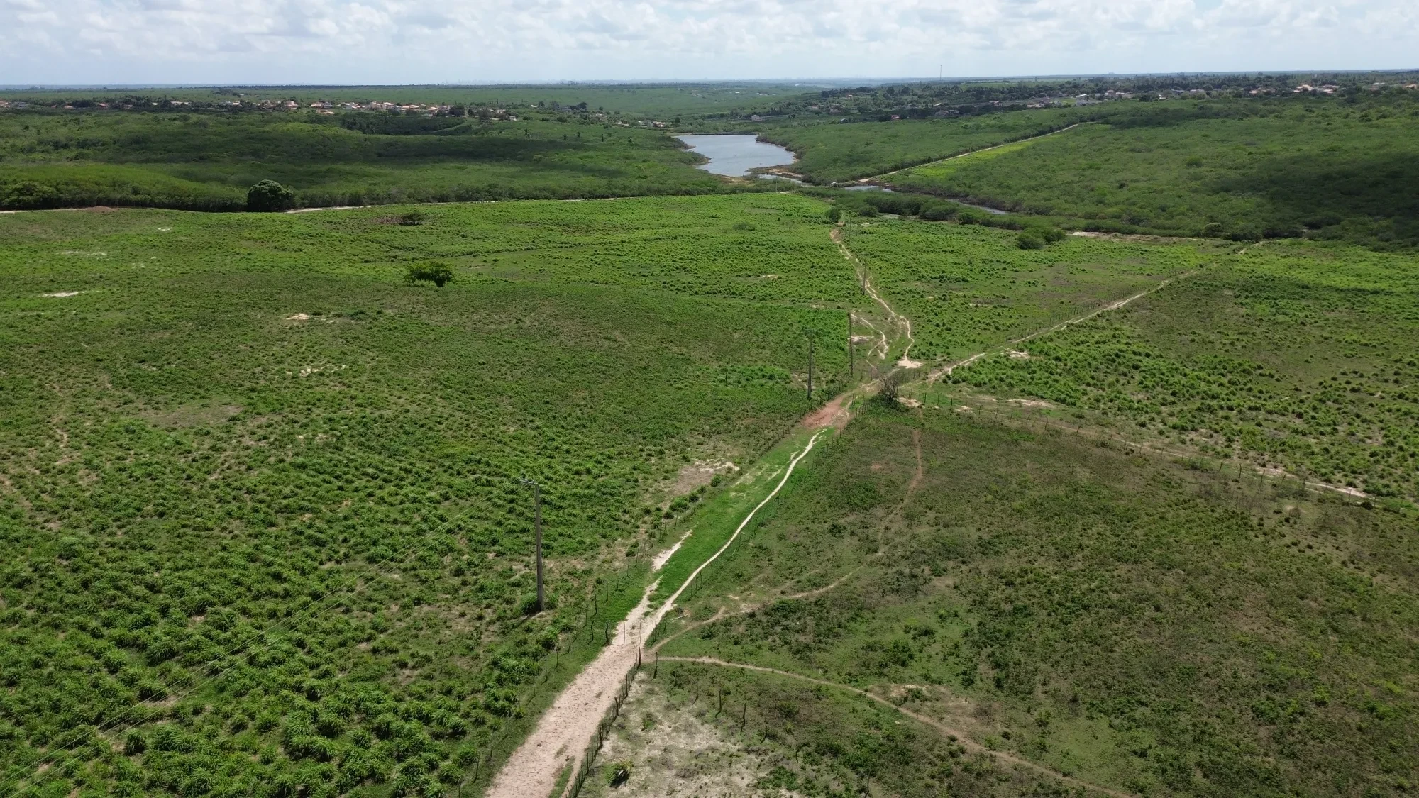 Foto do imóvel: Fazenda à Venda, 100 HA em Fabrício Pedroza - Macaíba