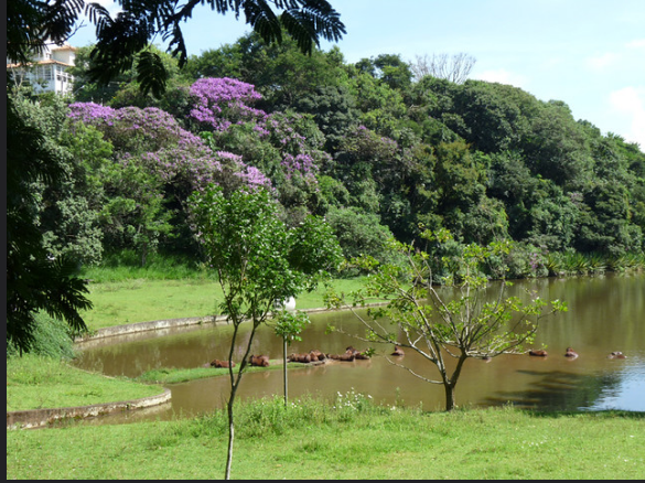 Imagem Terreno à Venda, 2 m²em Chácara Malota - Jundiaí