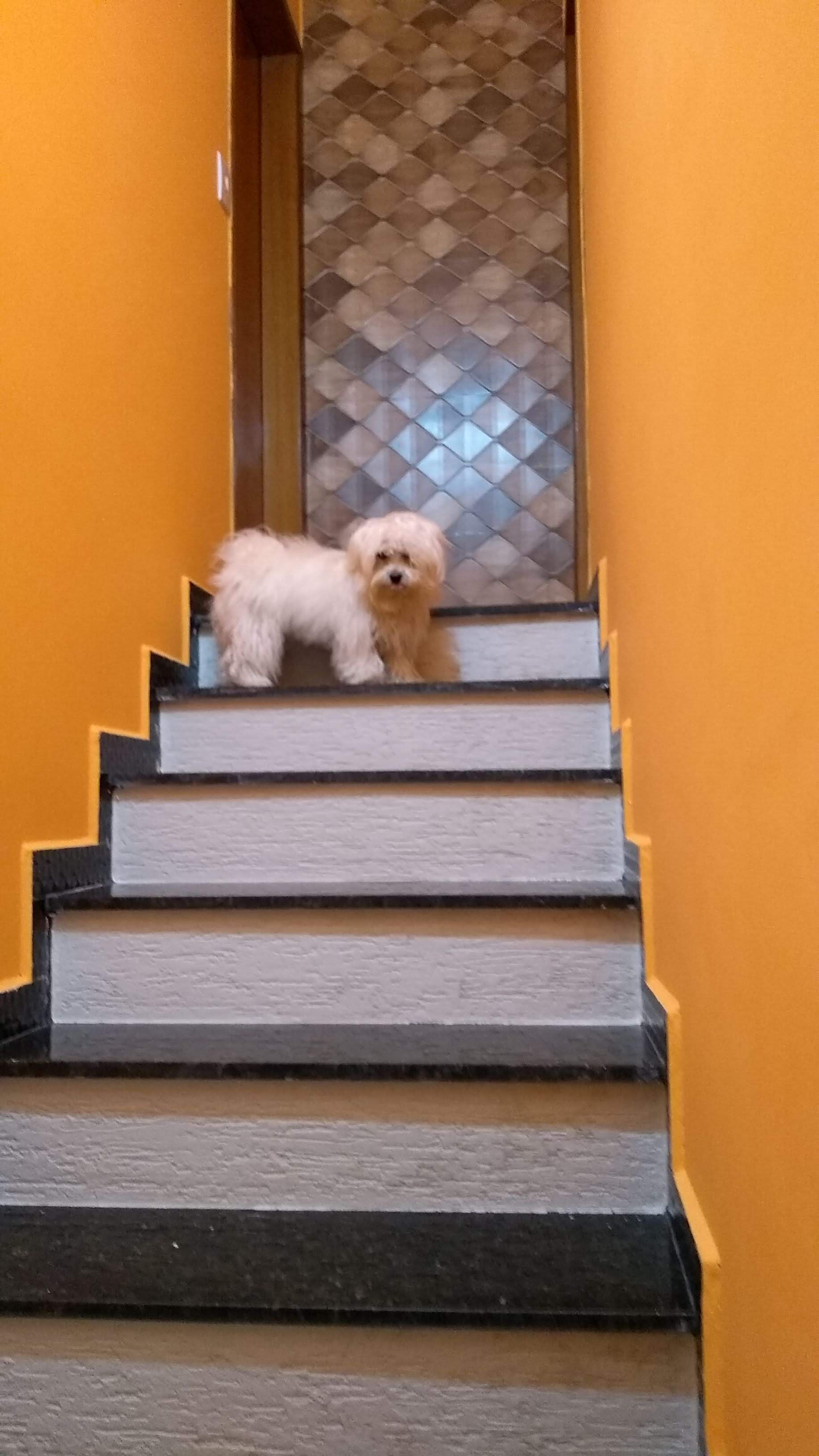 Foto do imóvel: Casa de Condomínio com 2 Quartos à Venda, 70 m² em Vila Melchizedec - Mogi das Cruzes