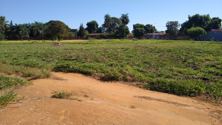 Imagem Terreno à Venda, 5.000 m² em Chácaras TV - Araçatuba