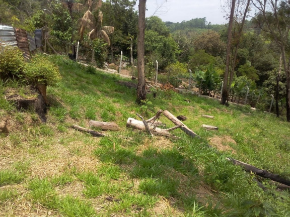 Imagem Terreno à Venda, 4.410 m² em Caete (Mailasqui) - São Roque