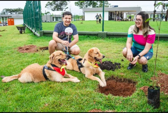 Terreno à Venda, 275 m² em Cidade Alpha - Eusébio