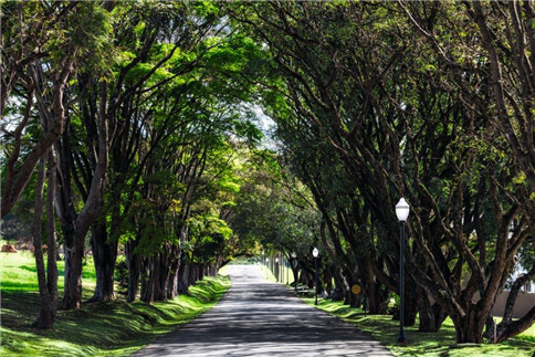 Imagem de fundo do Condomínio Fazenda Serrazul 2 em Itupeva