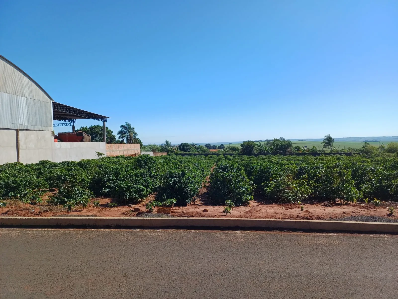 Chácara à Venda, 4000 m² em Pitangueiras - Pitangueiras