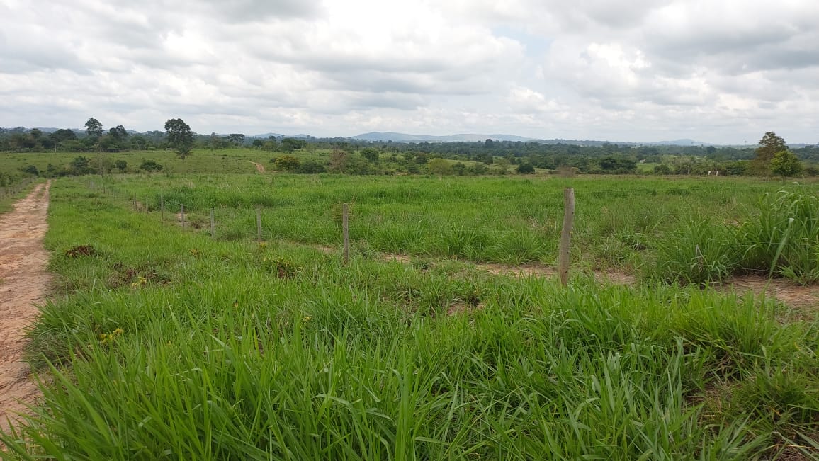 Fazenda à Venda, 9 Alq MGem Nova Marabá - Marabá