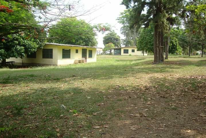 Imagem Fazenda à Venda, 22 HAem rural - Almeirim