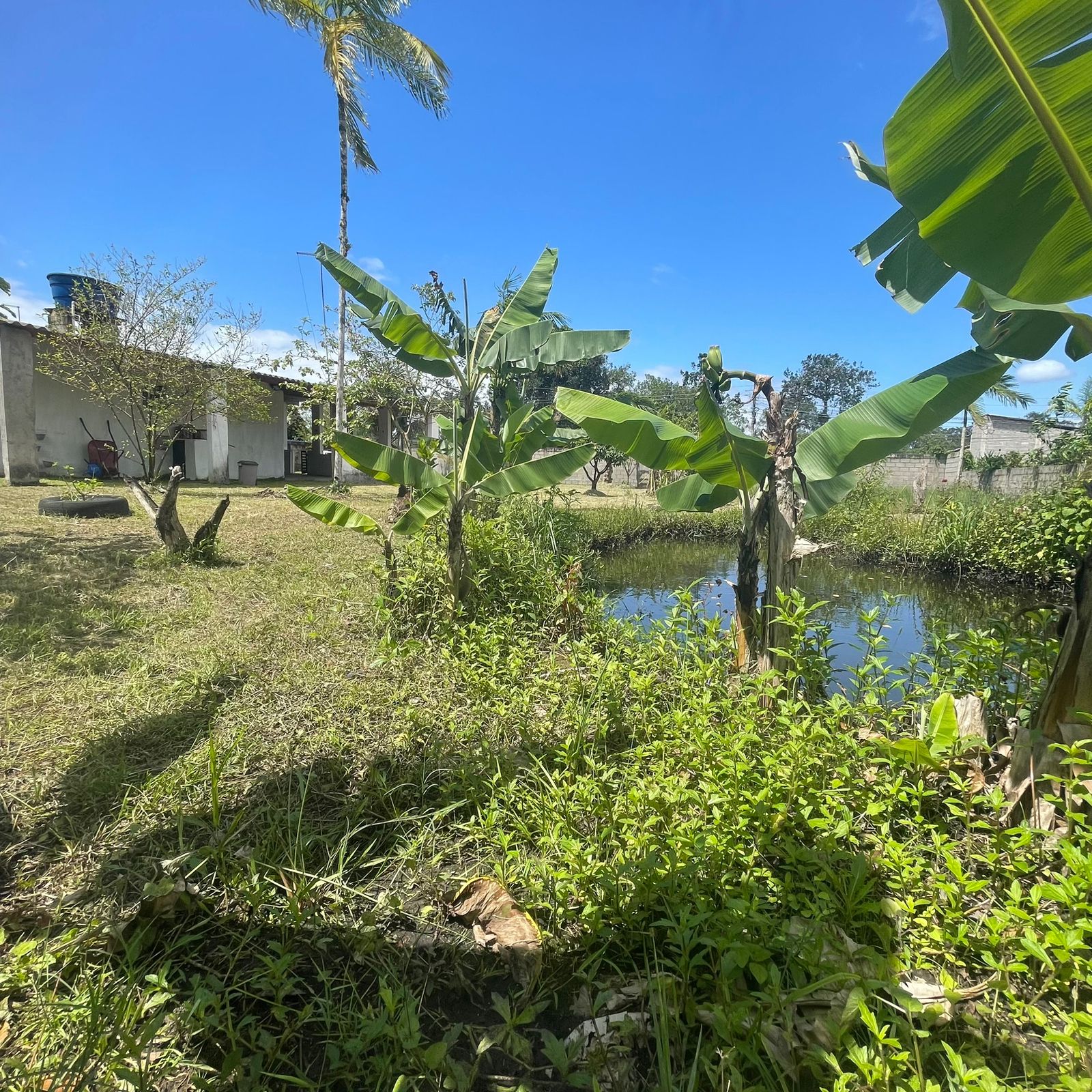 Imagem Chácara com 2 Quartos à Venda, 60 m²em Balneário Gaivota - Itanhaém