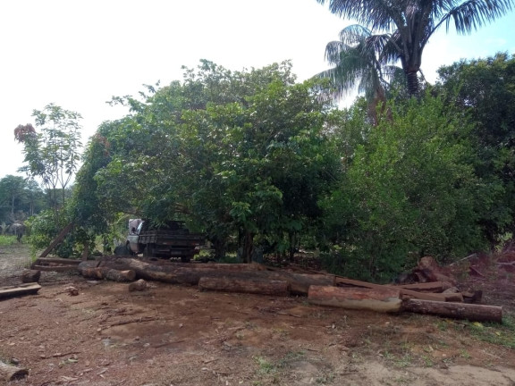 Imagem Terreno à Venda, 2.000 m² em Zona Rural - Humaitá