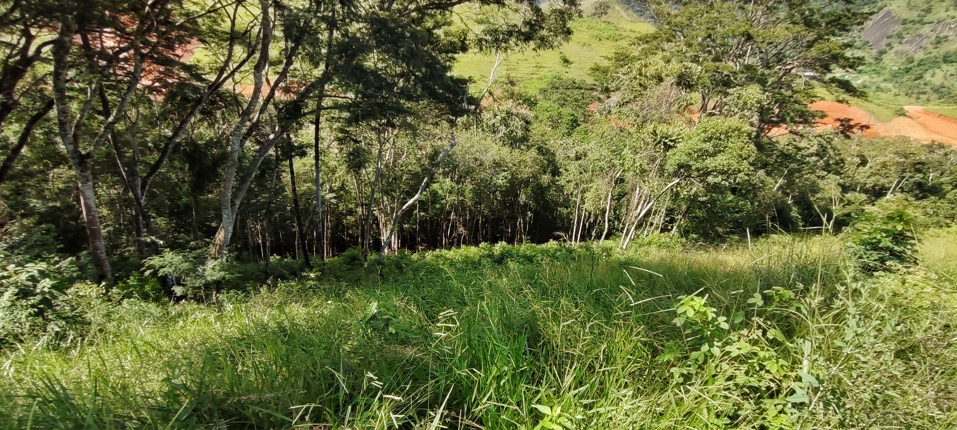 Imagem Terreno à Venda, 2.453 m² em Areal - Areal