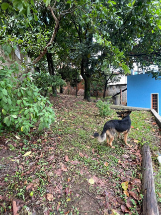Imagem Casa com 2 Quartos à Venda,  em Jardim Santa Maria - Guarulhos