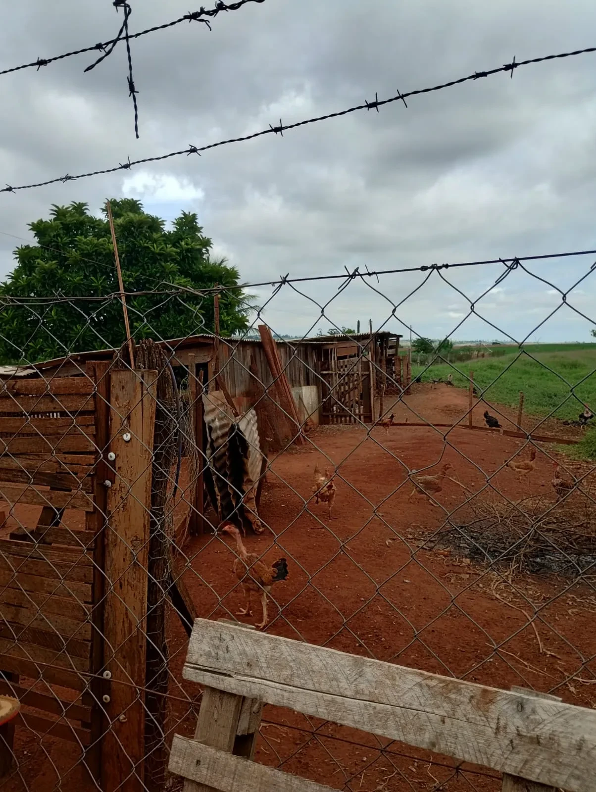 Imagem Chácara com 2 Quartos à Venda, 90 metros em Pitangueiras - Pitangueiras