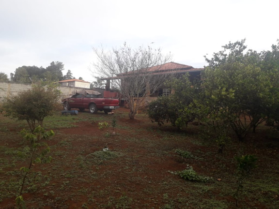 Chácara com 3 Quartos à Venda, 1.000 m² em RURAL - Estiva