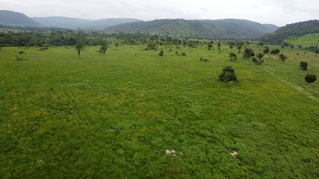 Foto do imóvel: Fazenda à Venda, 90 m²em Centro - São Félix do Xingu
