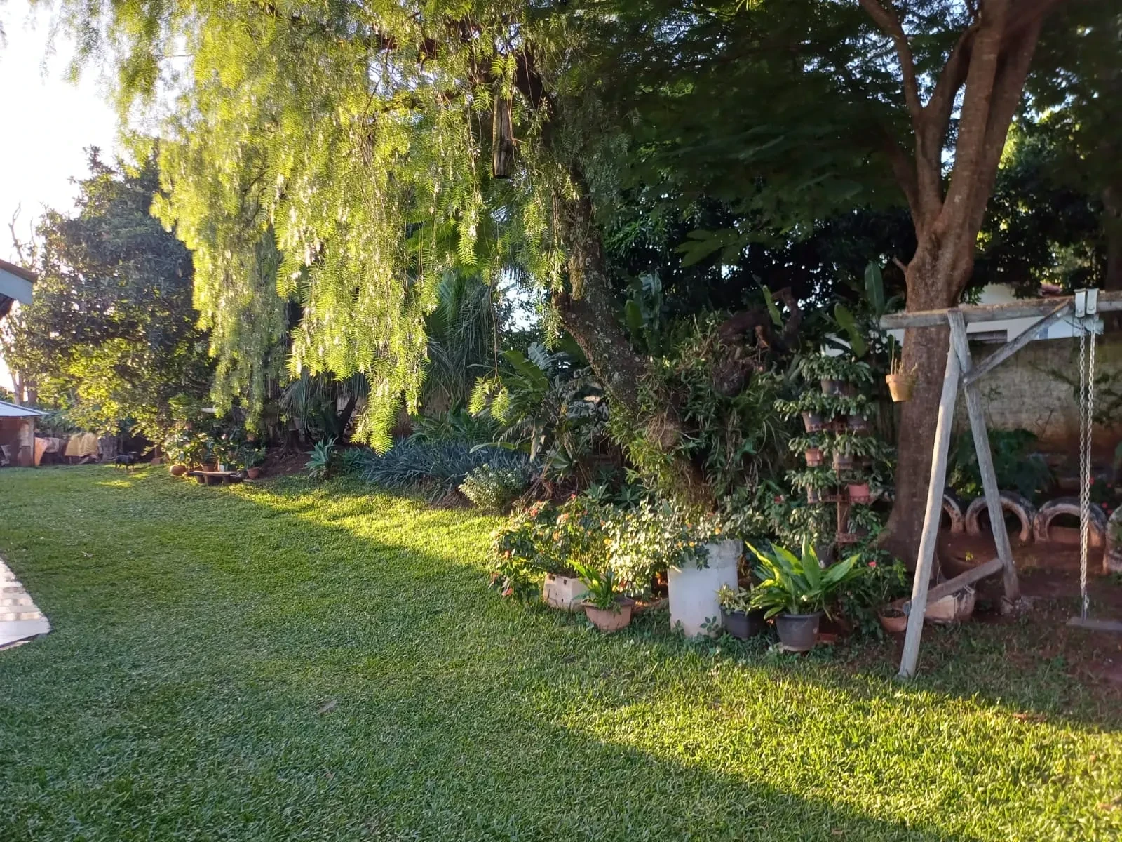 Imagem Chácara com 6 Quartos à Venda, 400 m² em Pitangueiras - Pitangueiras