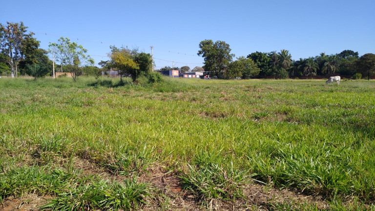 Imagem Terreno à Venda, 5.000 m² em Chácaras TV - Araçatuba