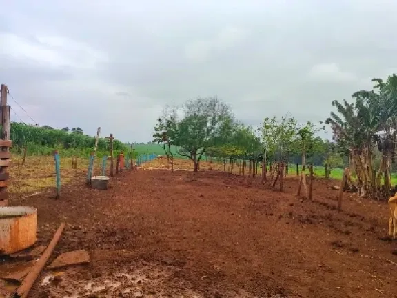 Imagem Chácara com 2 Quartos à Venda, 5000 metros em Pitangueiras - Pitangueiras