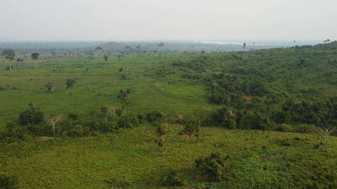 Foto do imóvel: Fazenda à Venda, 1 m²em Centro  - São Félix do Xingu