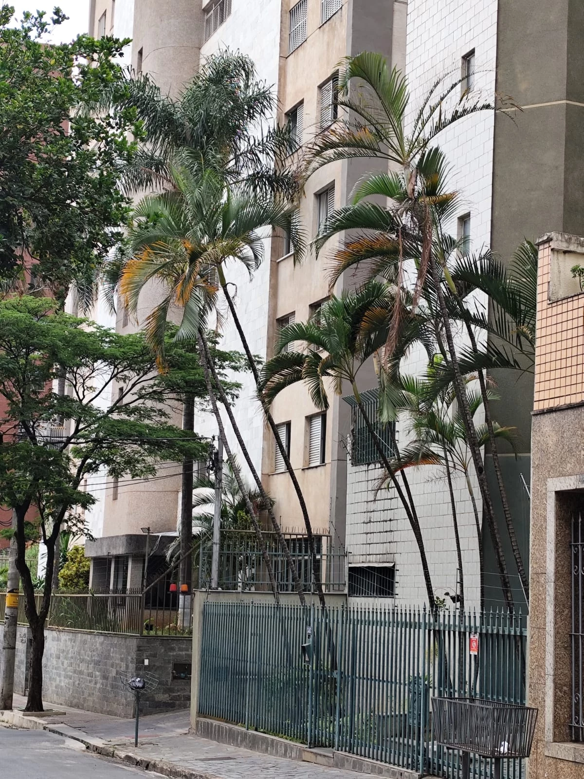Imagem Apartamento com 3 Quartos à Venda, 111 m² em Santo Antônio - Belo Horizonte