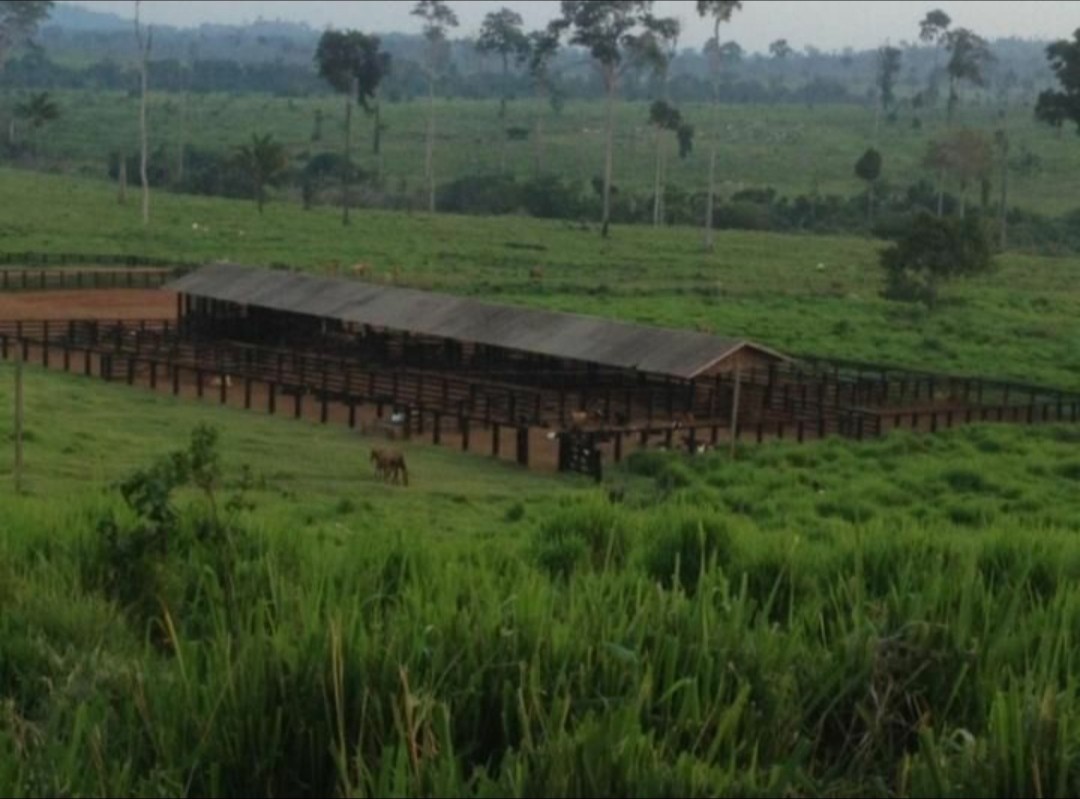 Foto do imóvel: Fazenda à Venda, 9.399 m² em Centro  - São Félix do Xingu