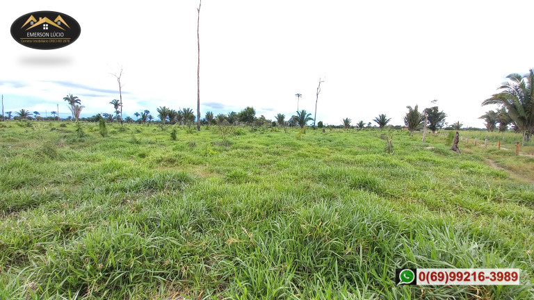 Imagem Fazenda à Venda,  em Zona Rural - Candeias do Jamari