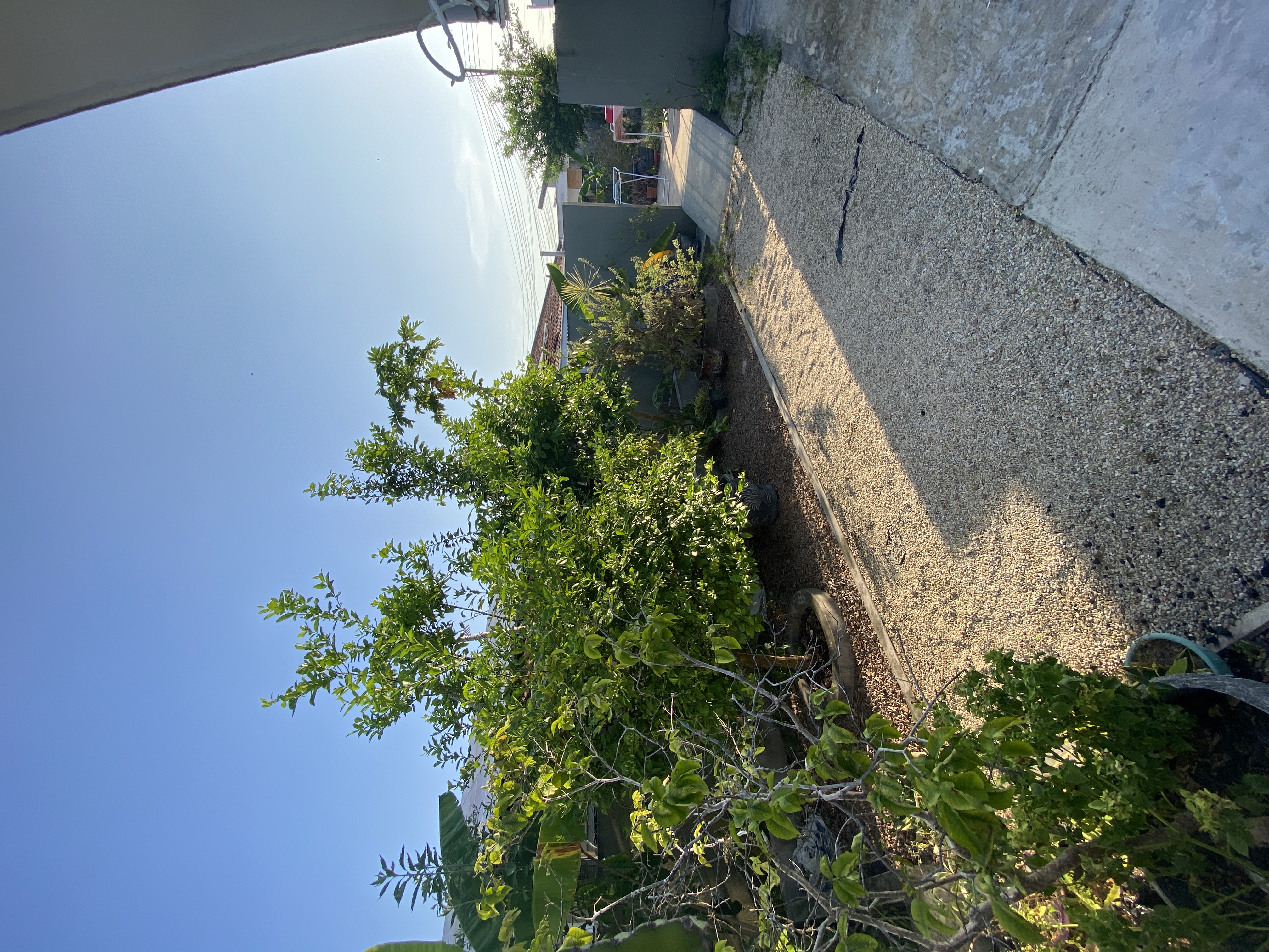 Foto do imóvel: Casa com 3 Quartos à Venda, 73 m² em Tarumã-Açu - Manaus