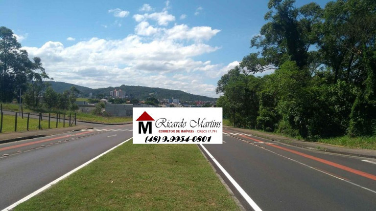 Imagem Terreno à Venda, 503 m² em Jardim Maristela - Criciúma