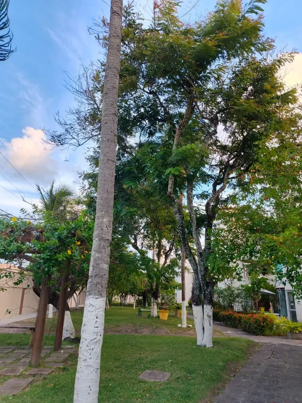 Imagem Sobrado com 2 Quartos à Venda, 85 m² em Vilas do Atlântico - Lauro de Freitas