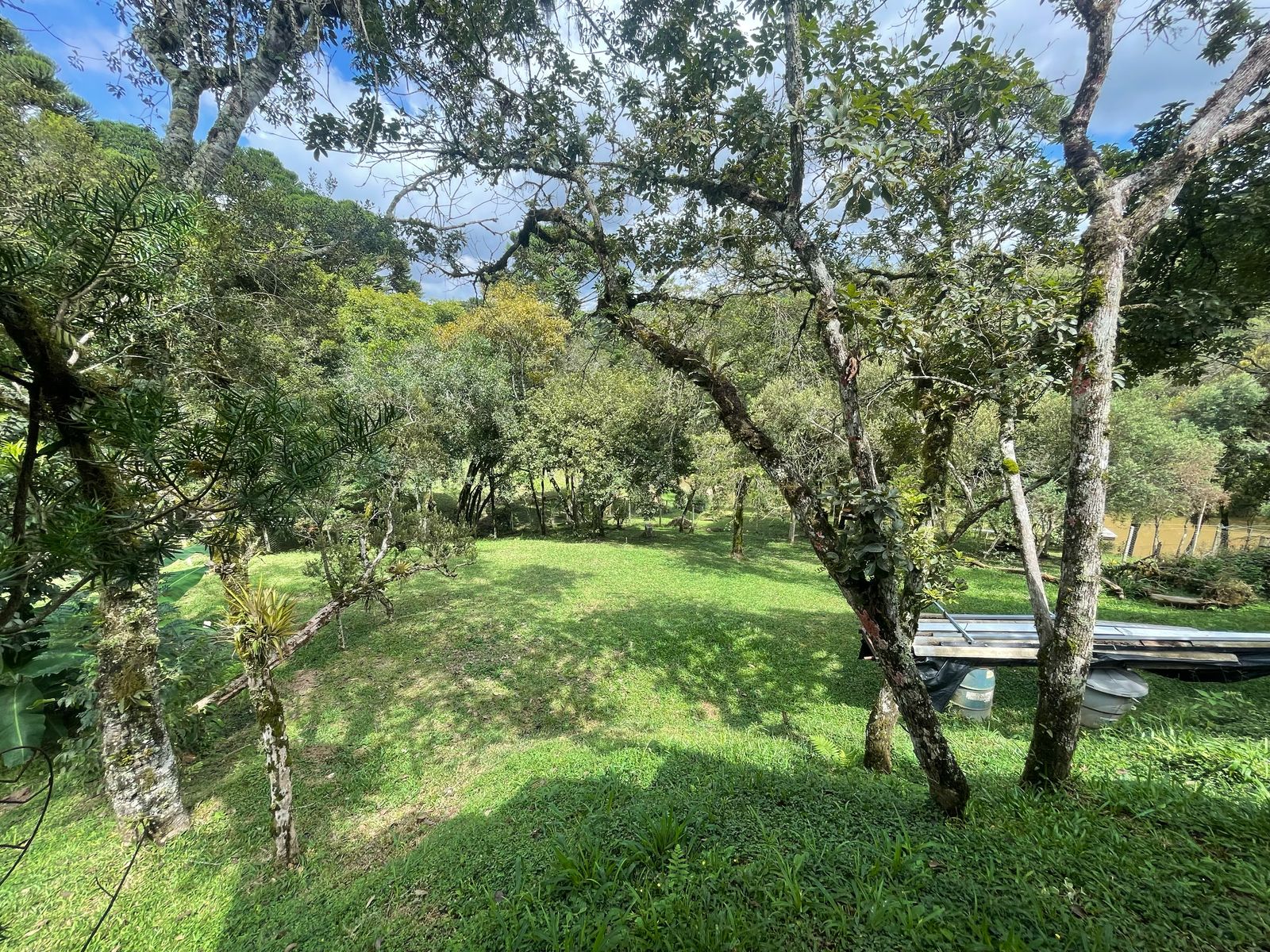 Foto do imóvel: Chácara com 3 Quartos à Venda, 6.800 m² em Salgadinho - Campo Largo
